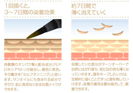 �����Ȃ��A�C�u���[�@�v�`�A�[�g���C�N